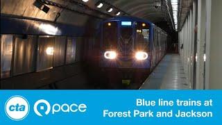 CTA + Pace - Blue Line Trains at Forest Park and Jackson