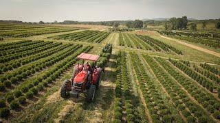 A Visit with Farmer of the Year Robert Saunders: This Family Farm Takes The Prize