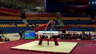 KHACHATRYAN Vigen (ARM) - 2018 Artistic Worlds, Doha (QAT) - Qualifications Pommel Horse