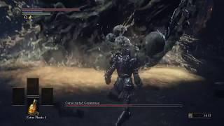 Dark Souls 3 - Armor of Thorns roll only vs Bosses #1