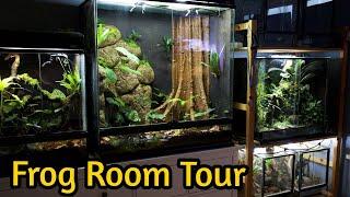 FROG ROOM TOUR 2024 - All of my Vivariums, Poison Dart Frogs, Tarantulas & Geckos