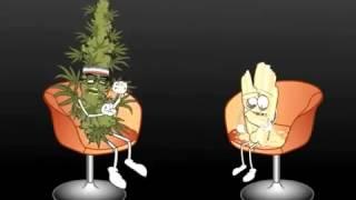 Marijuana VS  Crystal Meth - The master debaters