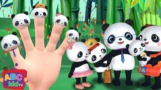 Finger Family (Panda Version) | CoComelon Nursery Rhymes & Kids Songs