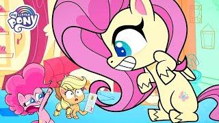 NEW |Fluttershy Best Moments | MLP