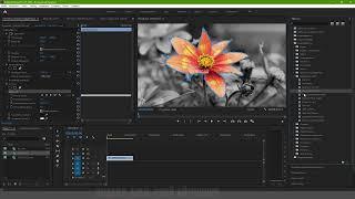 Premiere Pro: Цветной объект на черно-белом фоне
