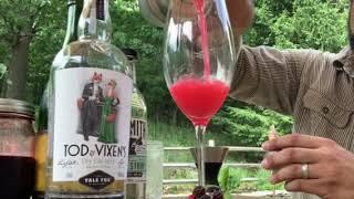 The Vale Fox Distillery - Tod & Vixen's Dry Gin 1651 Cocktails with Eric