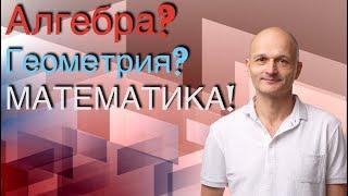 Алгебра? Геометрия? Математика!