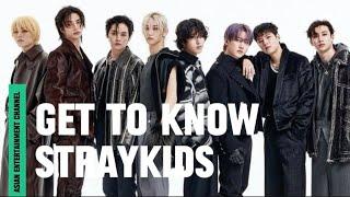 Straykids Profile and Facts