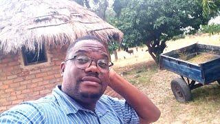 Day 16 Are  you really ready to relocate to Zimbabwe rural rural rural  village?