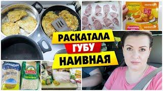 VLOG: Раскатала ГУБУ НАИВНАЯ / Отбивные из свинины / Vika Siberia LifeVlog