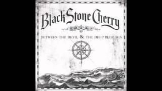 White Trash Millionaire- Black Stone Cherry