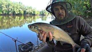 Fishing with a feeder. Desna River