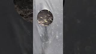 Защита от сорняка