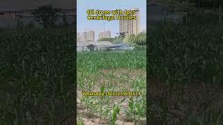 Africa 40 liters large payload agricultural spraying drone for corn/sugarcane/soybean  #drone #dji