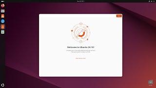 Expert Support for Ubuntu 24.10 LTS Linux Server