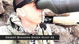 ROKSTEDi *Vlog 11 Desert Bighorn Sheep Hunting 2