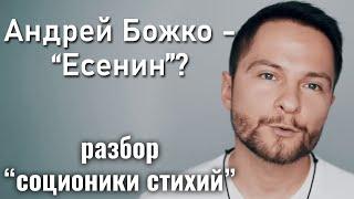 Андрей Божко -  Есенин? Что не так с "соционикой стихий"? | Благостная соционика. Центр Архетип