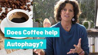 Does Coffee Hurt or Help Autophagy?