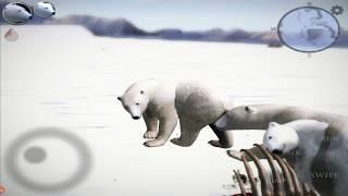 Polar Bear Simulator 2 VS Walrus, Seal, Bison, Fox By Gluten Free Games