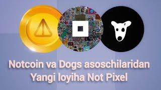 Notcoin va Dogs asoschilaridan yangi loyiha Not Pixel...