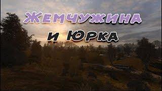 Сталкер . Путь человека . Шаг в неизвестность . Дежавю . Артефакт жемчужина или тайники Юрки Чирка.