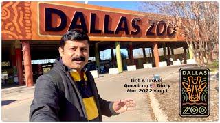 Dallas Zoo | Est 1888 | Largest Zoo in Texas | ZooNorth | Giants of Savanna | American Diary | Mar