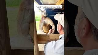 This man has devoted his entire life to the zoo