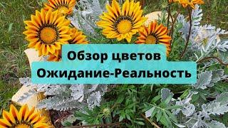 Обзор Цветов| Ожидание-Реальность |