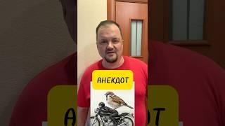 АНЕКДОТ  МОТОЦИКЛИСТ И ВОРОБЕЙ