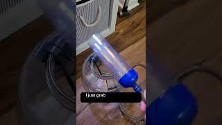 How to clean your betta fish tank