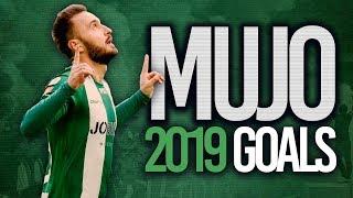 Muamer Tankovic ● BRILLIANT season ● 2019 GOALS !!!