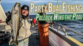 Party Boat Fishing Cod and GIANT POLLOCK WINS THE POOL! (Offshore Block Island)