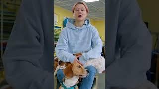 Почему собака пристает к ноге? Собака делает ЭТО С НОГОЙ?  #Shorts