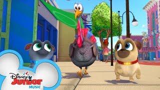 The Turkey Trot  | Music Video | Puppy Dog Pals | Disney Junior