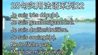 快速提高口语的25句实用法语系列 22，法语学习，实用法语，法语教学