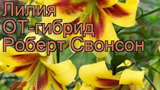 Лилия от-гибрид Роберт Свонсон  обзор: как сажать, луковицы лилии Роберт Свонсон