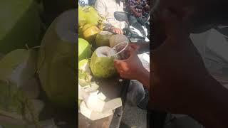 The Art of Coconut Cutting Techniques
