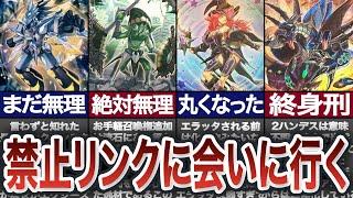 【極悪人】ガンマと征く禁止経験のあるリンクモンスター紹介【遊戯王】