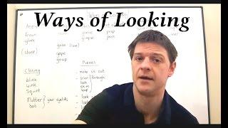 Vocabulary WAYS OF LOOKING (Lesson 25)