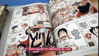 ONE PIECE - La collection officielle en grand format ! | Hachette Collections