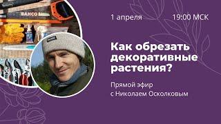 Как обрезать декоративные растения? Запись эфира с Николаем Осколковым