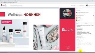 Презентация АРМЭЛЬ  Оксана Смирнова