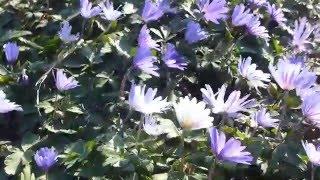 P1410128