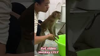 Monkey Lyly undressed and took a bath #shorts #youtubeshorts