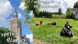 slow life, życie w warszawie vs. życie na wsi | spring vlog 