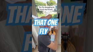 What’s your K.O. count so far? #fly #summer #funny #comedy #jokes