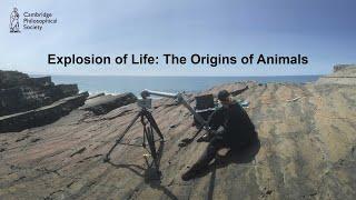 Explosion of Life: The Origins of Animals