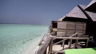 Dhigufaru - Maldives 2017