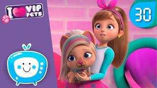 NEW ADVENTURES!  VIP PETS  CARTOONS and VIDEOS for KIDS in ENGLISH