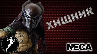 Обзор фигурки Хищник,Falconer Predator(Хищники)NECA.